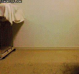 gif (26)