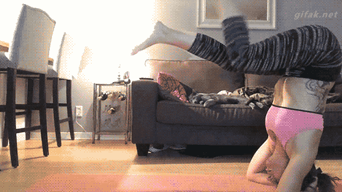 gif (27)