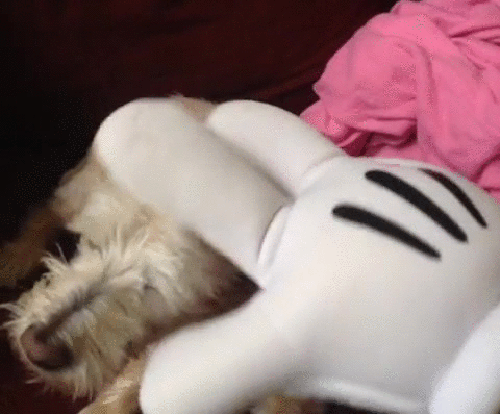 gif (4)
