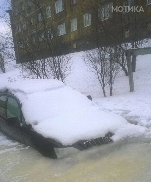 nesekojdnevni (30)