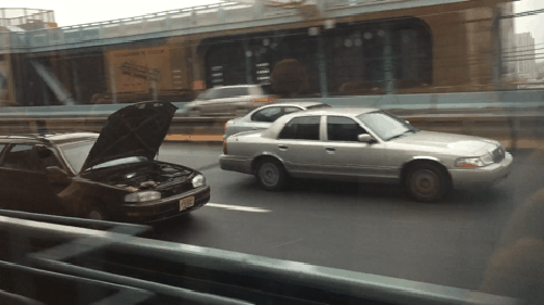 gif (12)