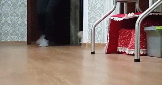 gif (23)