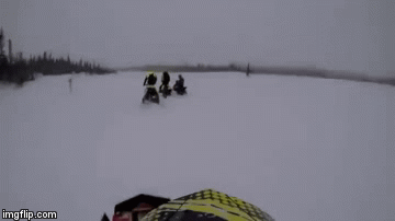 gif (7)