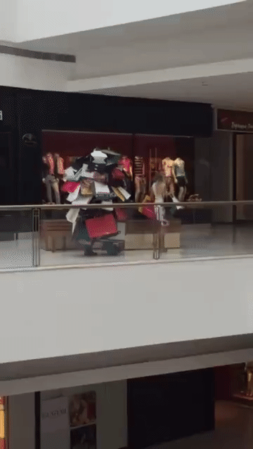 gif (8)