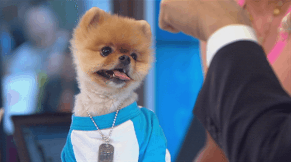 gif (9)