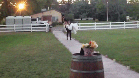 gif (20)