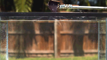 gif (12)