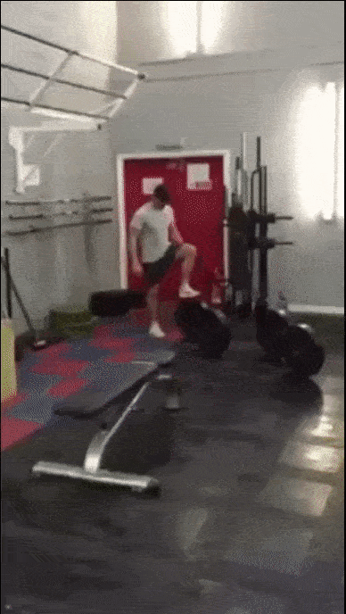 gif (3)