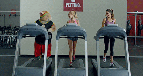 gif (1)
