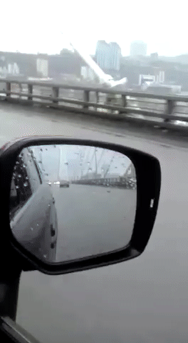 gif (26)