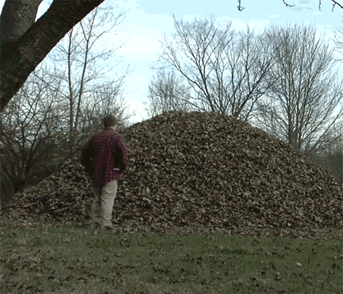 gif (3)