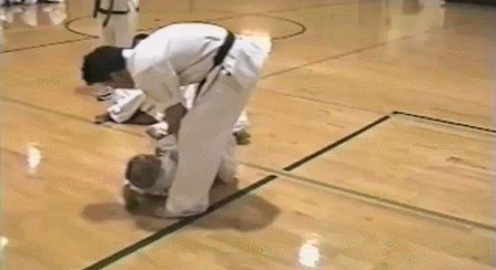 gif (30)