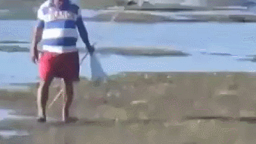gif (10)