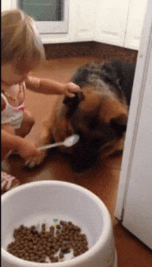 gif (14)