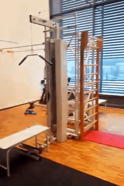gif (4)