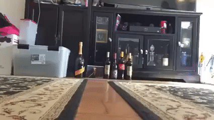 gif (5)