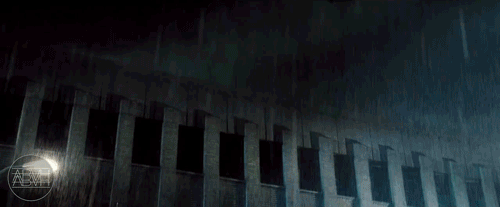 gif (1)