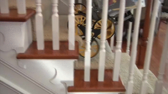 gif (16)