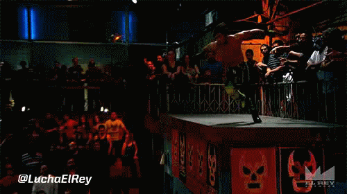 gif (9)