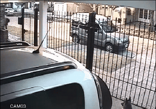 gif (15)
