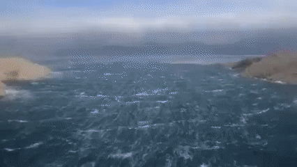 gif (5)