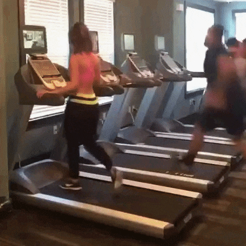 gif (24)