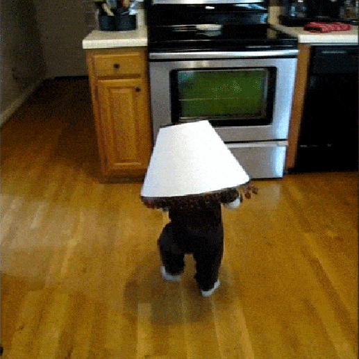 gif (8)