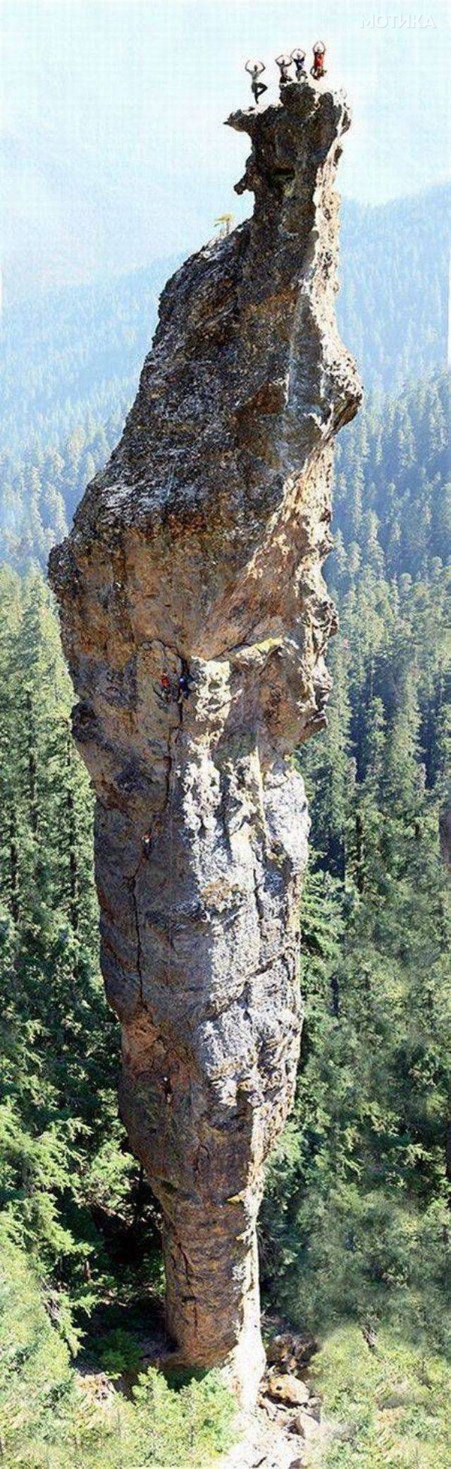 nesekojdnevni (108)
