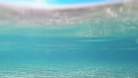 gif (29)
