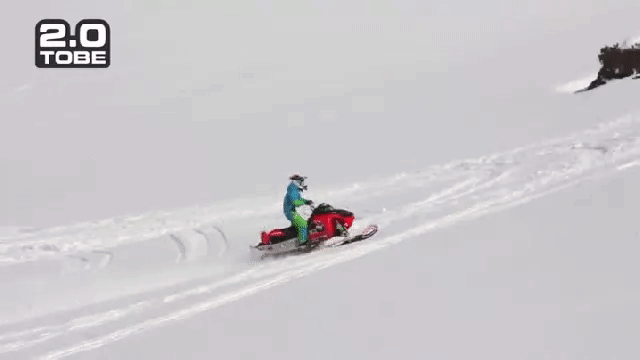 gif (4)