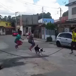 gif (11)