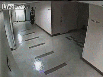 gif (22)