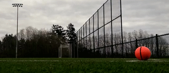 gif (5)
