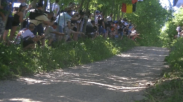 gif (10)