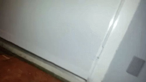 gif (23)
