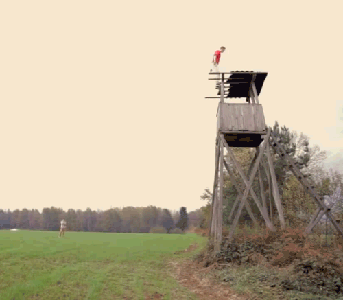gif (3)