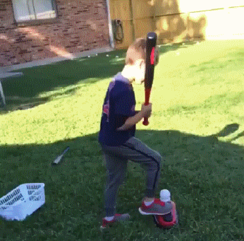 gif (29)