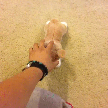 gif (1)