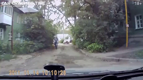 gif (13)