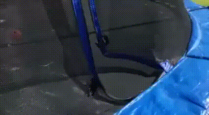gif (16)