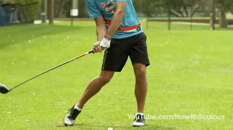 gif (17)