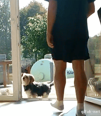 gif (24)
