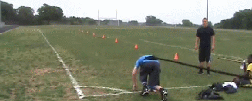 gif (12)