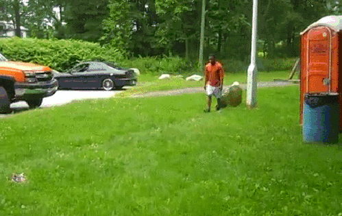 gif (2)