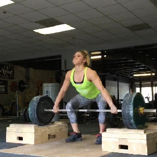 gif (21)