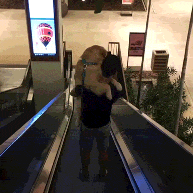 gif (23)