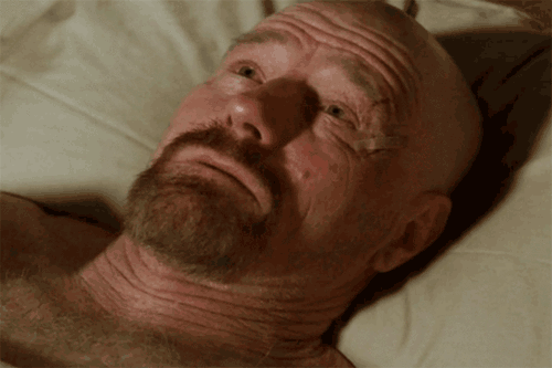 gif (29)