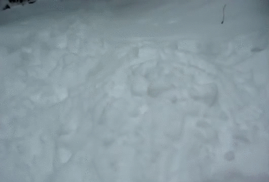 gif (3)
