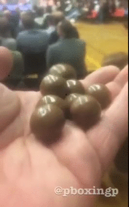 gif (30)