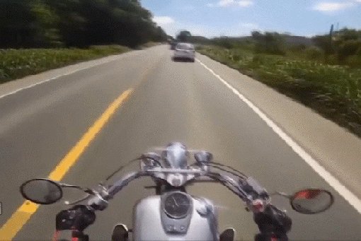 gif (5)